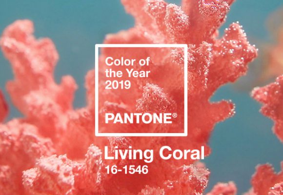 2019 color trend