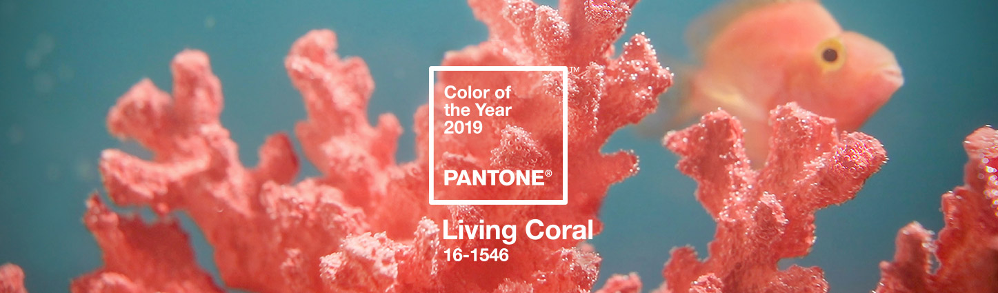 2019 color trend